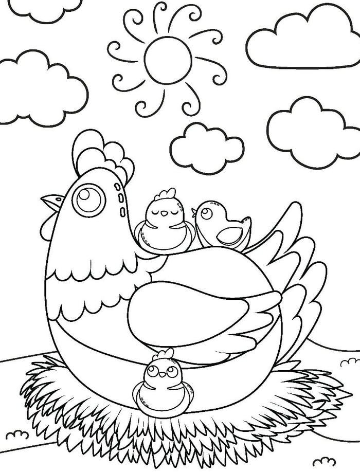 Mẫu tranh tô màu gà mái