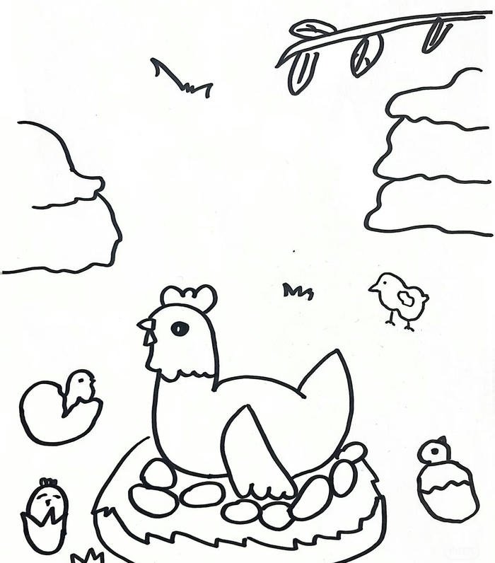 Tranh ảnh gà mái đơn giản tô màu