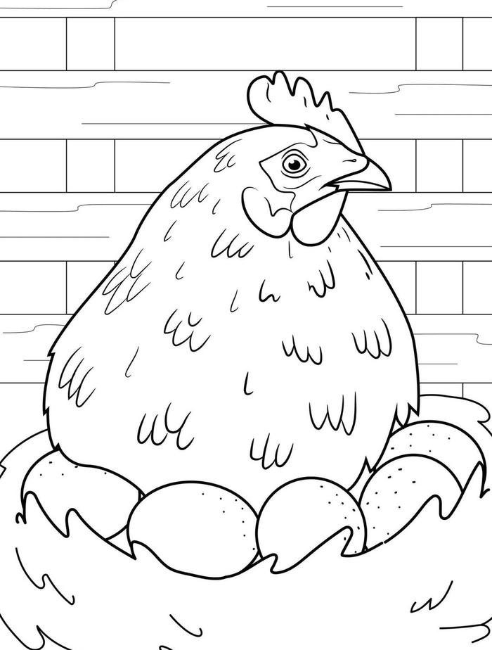 Tranh gà mái đen trắng cho bé tô