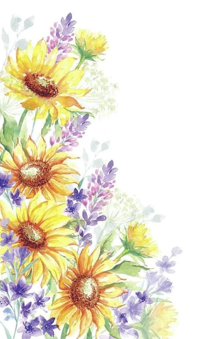 ảnh bố cục hài hòa tranh vẽ hoa hướng dương