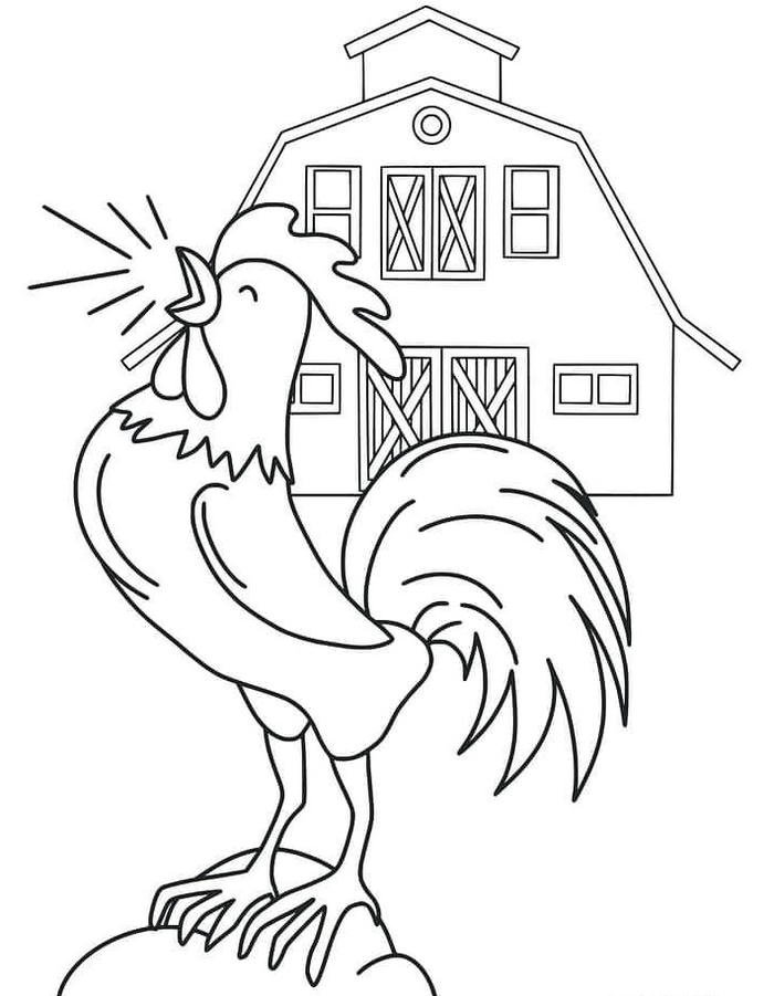 ảnh con gà trống hình vẽ cho bé tô