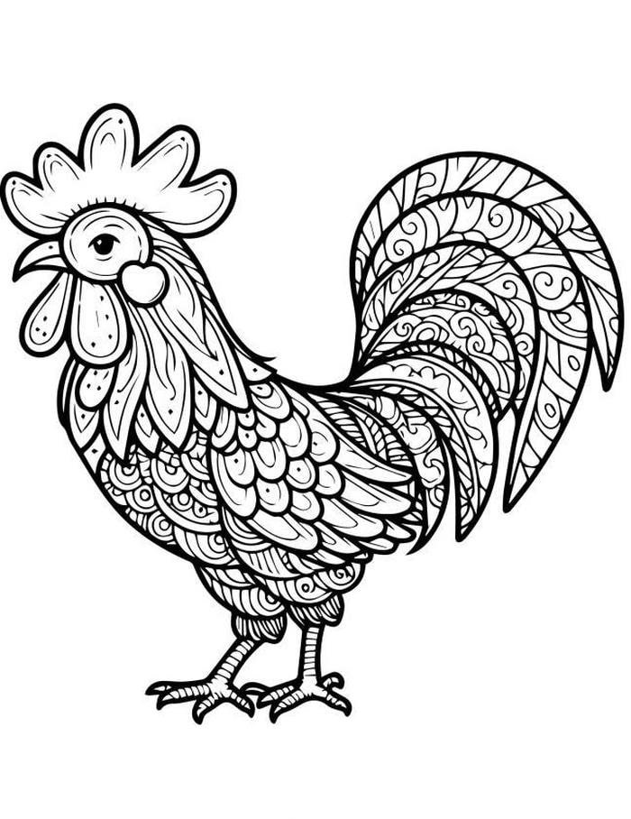 ảnh con gà trống phác họa tô màu