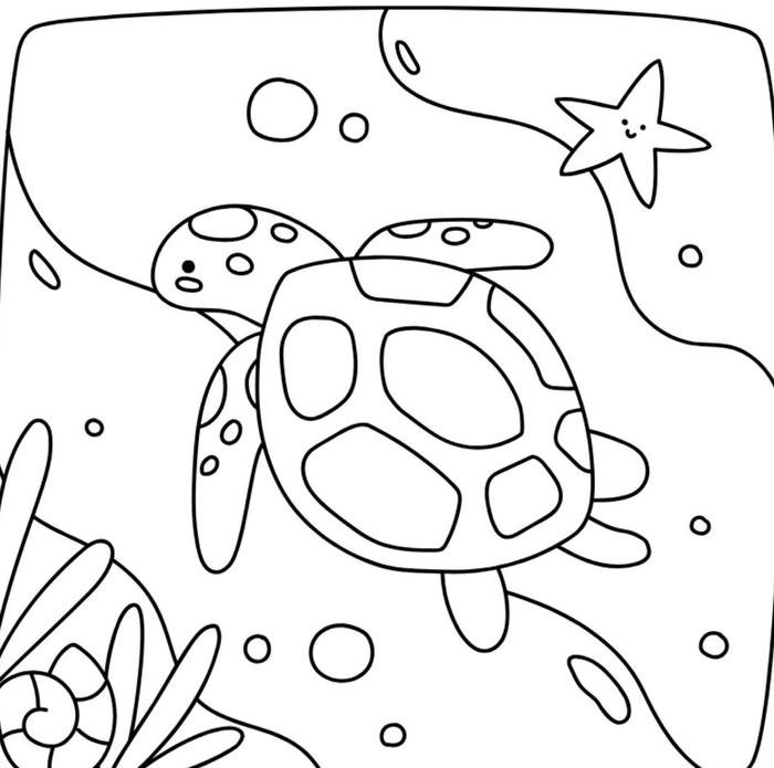 ảnh rùa biển đáng yêu