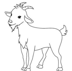 bé học màu với con dê