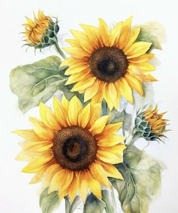 bức ảnh vẽ hướng dương tươi mới