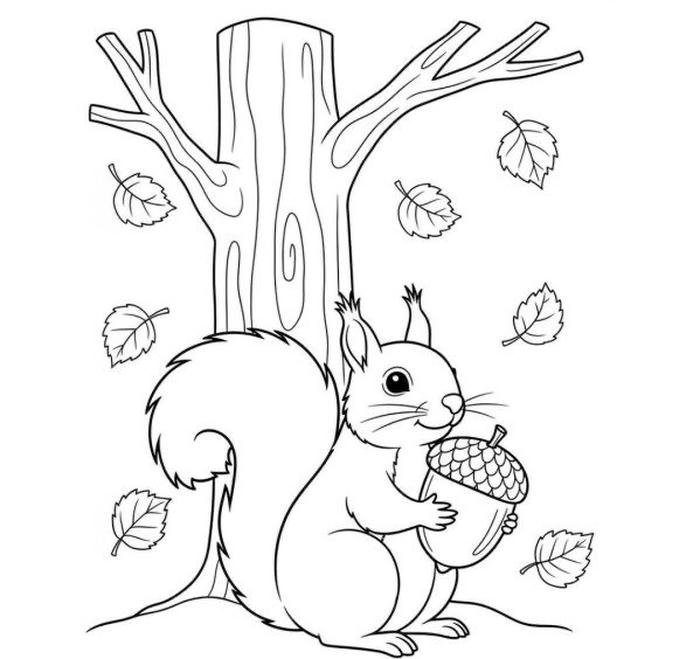 con sóc dễ tô cho bé