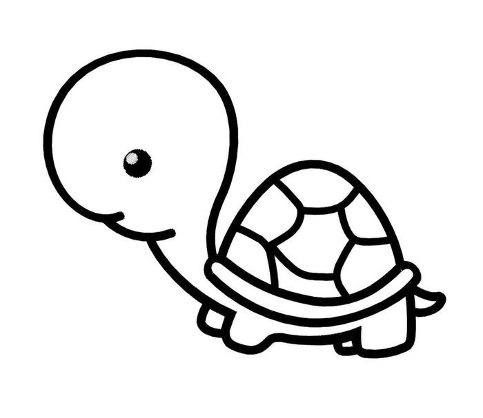 hình ảnh rùa cute tô màu đơn giản