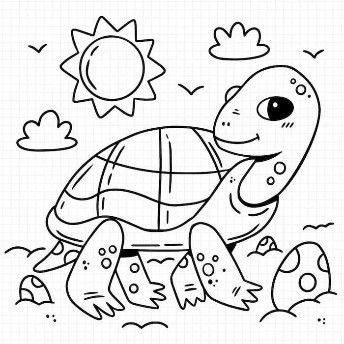 hình ảnh rùa tô màu đẹp nhất