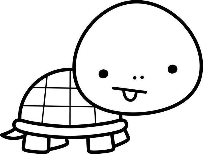 hình ảnh rùa tô màu đơn giản