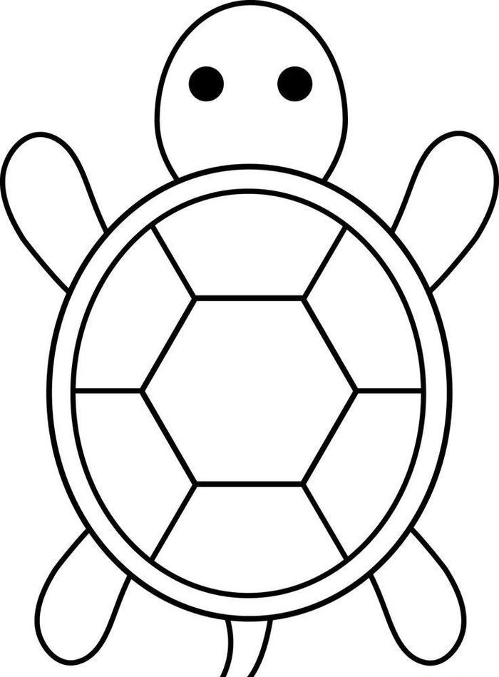 hình con rùa tô màu đẹp