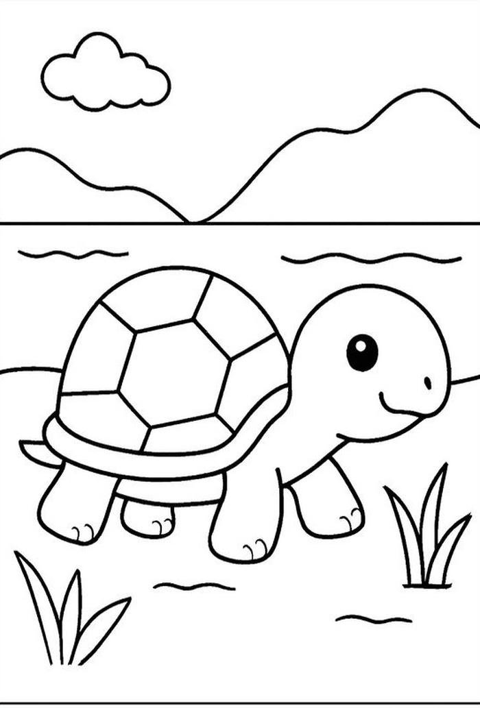 hình rùa biển tô màu đẹp