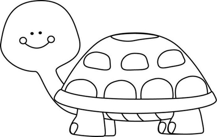 hình rùa dễ tô cho trẻ hay
