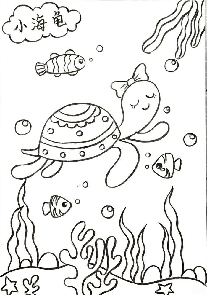 hình tô màu con rùa biển