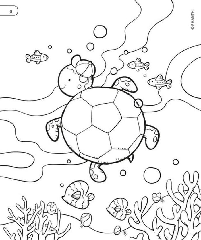 hình tranh rùa biển cho bé