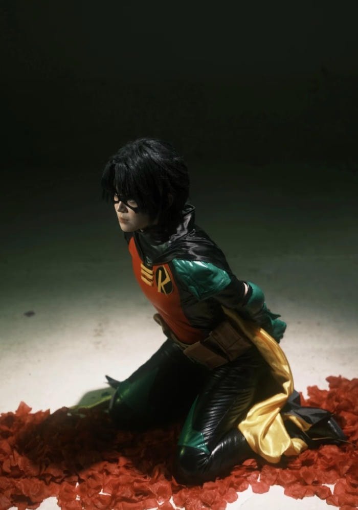 những hình ảnh cosplay Robin đầy màu sắc
