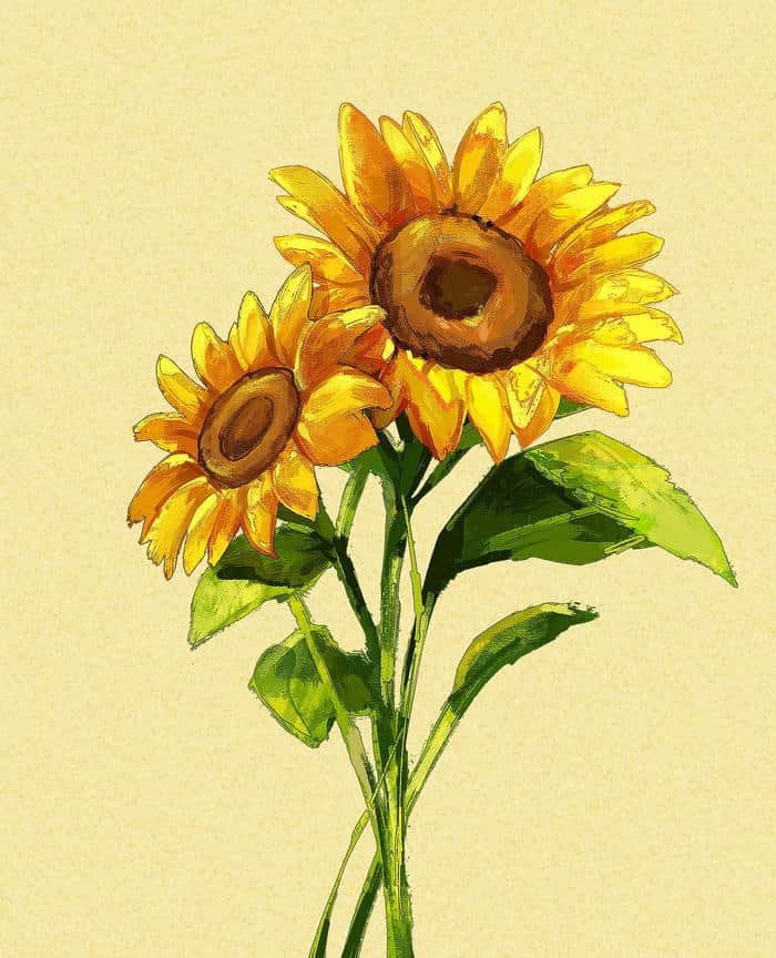 tranh vẽ hướng dương rõ nét