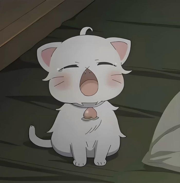 Ảnh con mèo anime miệng tròn