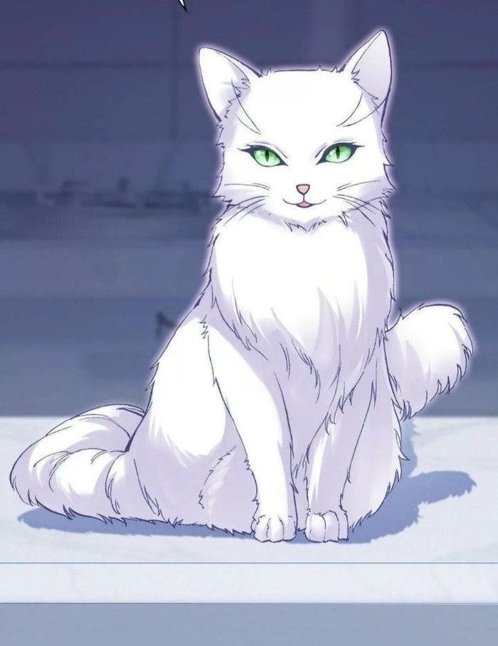 Hình anime mèo mắt xanh đuôi cong