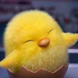 ảnh avatar gà dễ thương