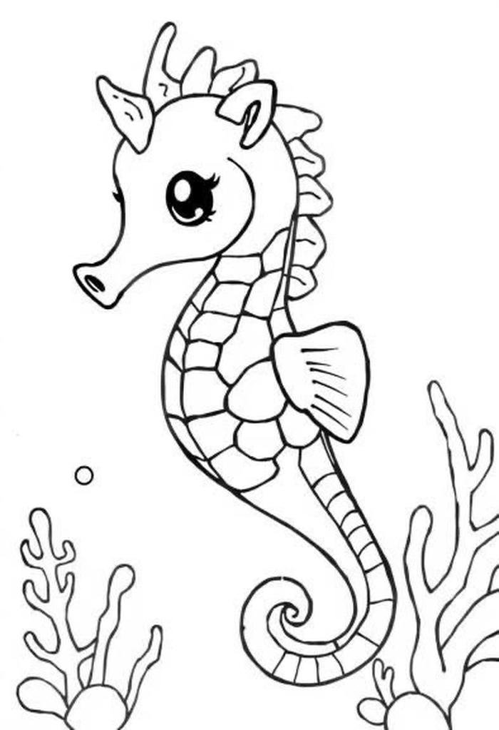 bé vui học cùng con cá ngựa