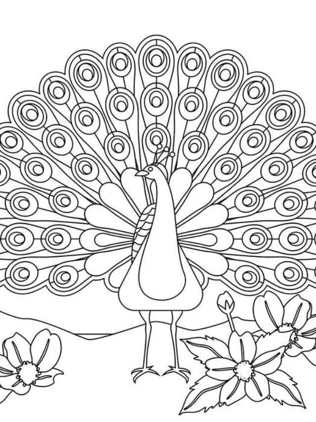 Gợi ý 124+ tranh tô màu con công đẹp mắt và sinh động