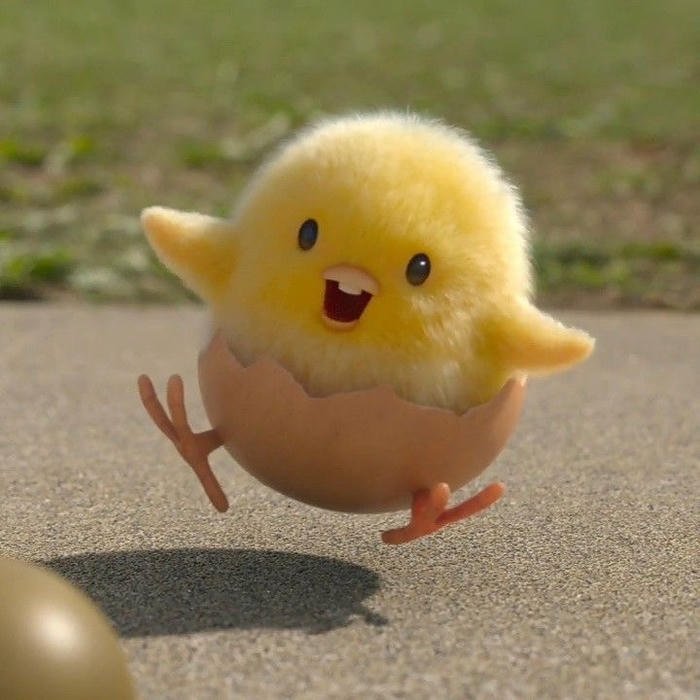 hình avatar con gà dễ thương