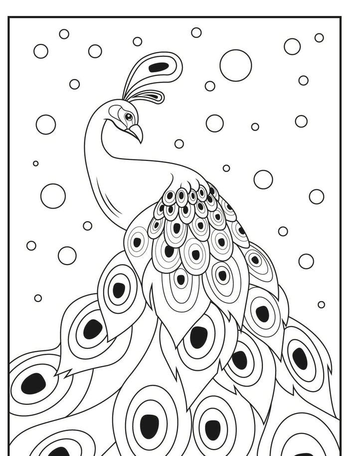 tranh tô màu con công dễ