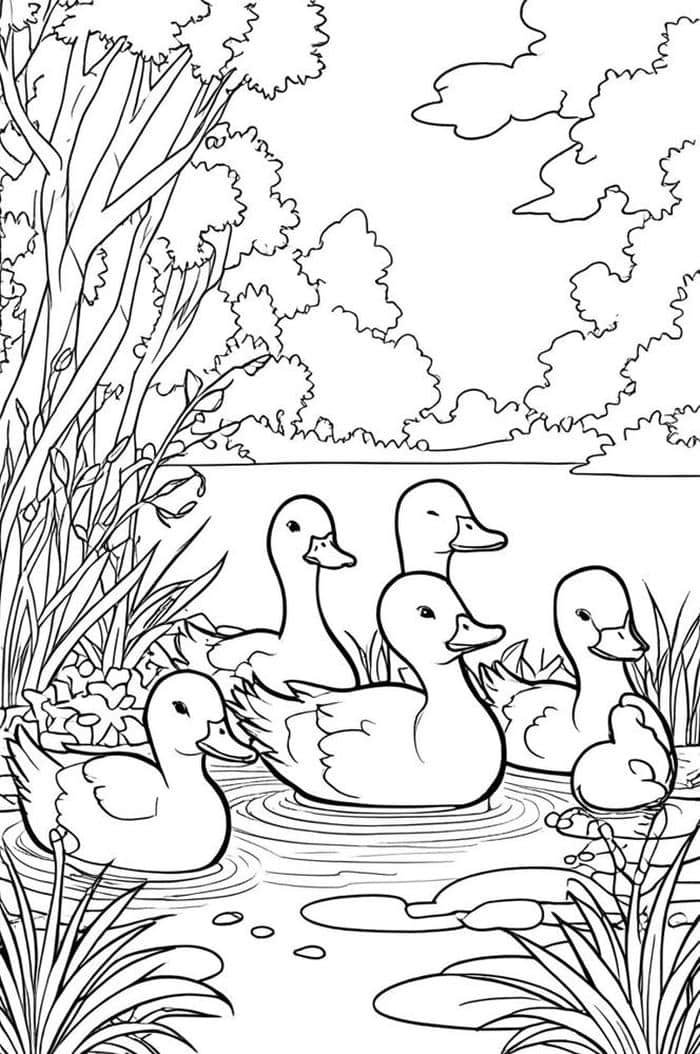 tranh tô màu con vịt dễ hoàn thành