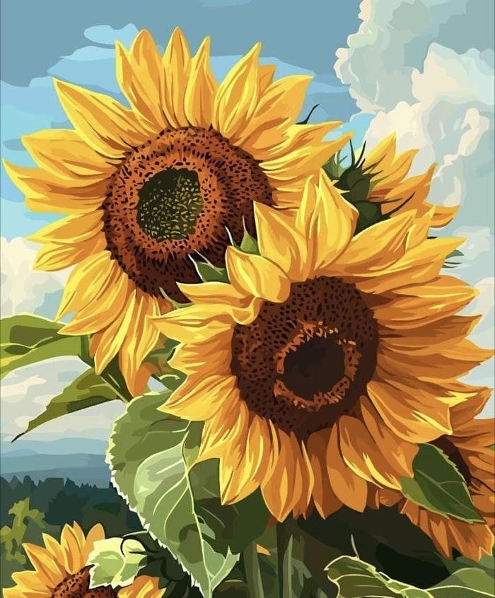 Bức hình anime hoa hướng dương màu sắc tươi sáng