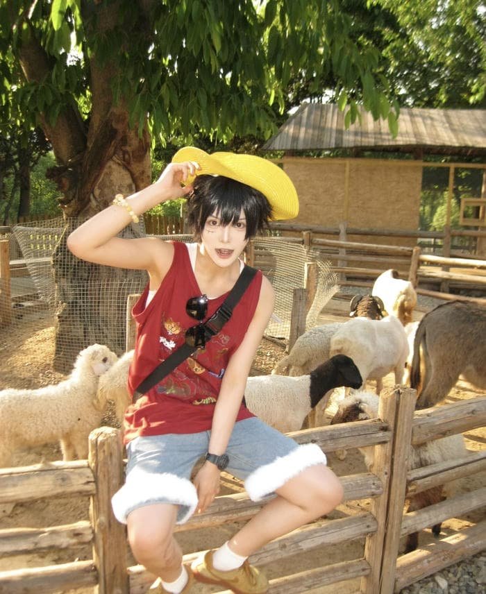 Ảnh luffy cosplay gương mặt tràn năng lượng