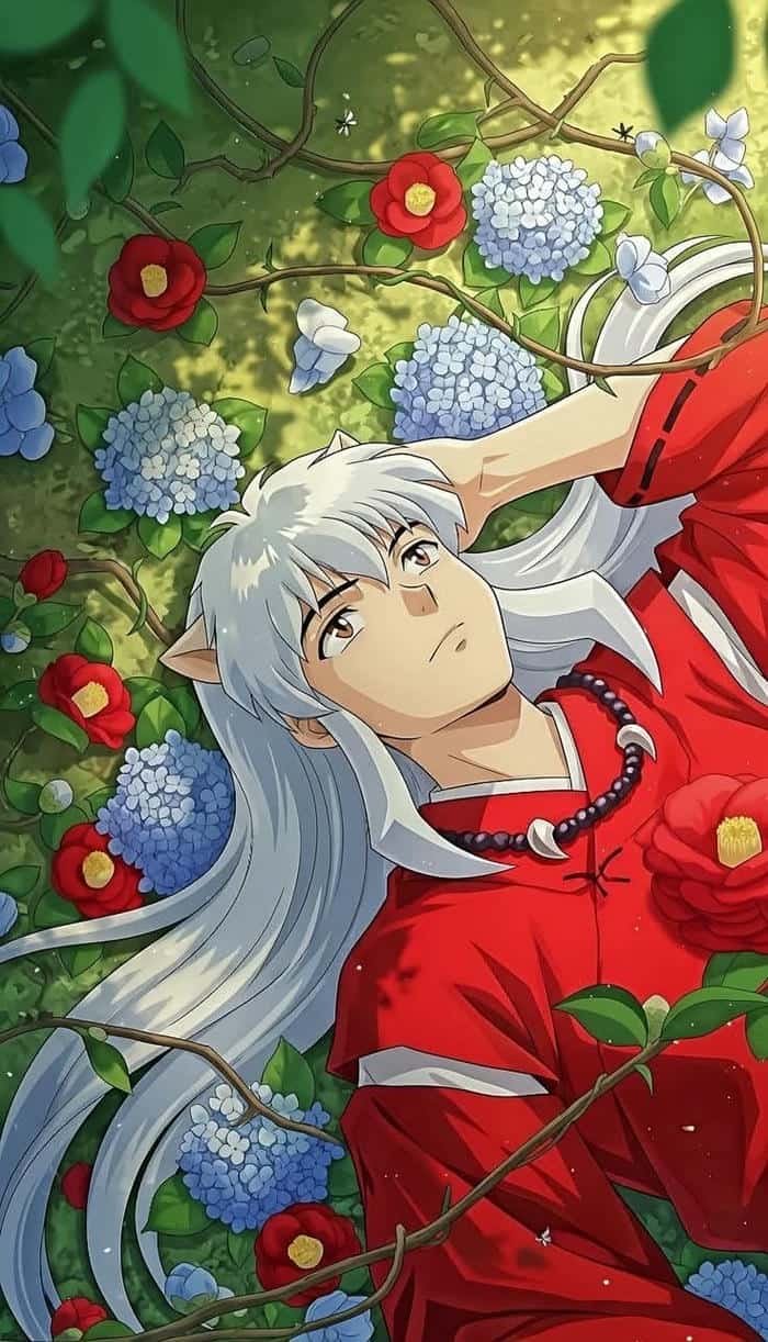 Hình Inuyasha vẻ ngoài bất cần