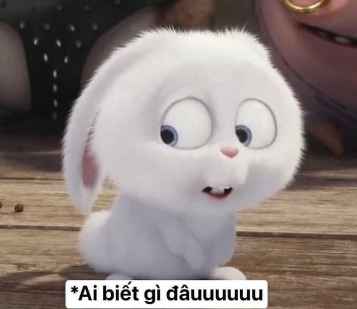 Ảnh ai biết gì đâu phản ứng lúng túng