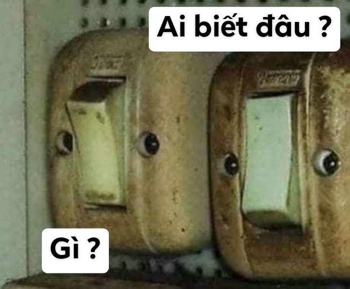 Ảnh meme ai biết gì đâu cảm giác bất lực