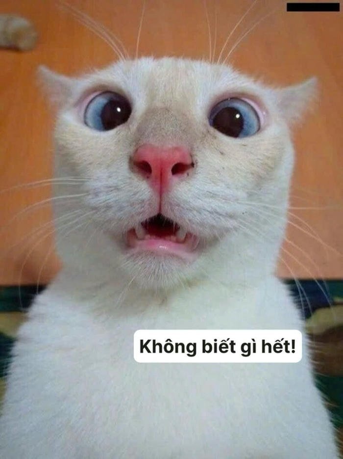 Ảnh meme ai biết gì đâu cảm giác bất ngờ