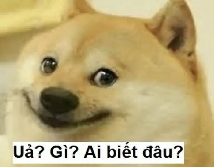 Ảnh meme ai biết gì đâu cảm giác ngớ ngẩn