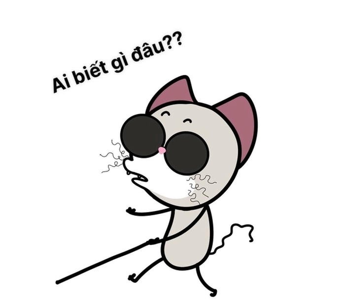 Ảnh ai biết gì đâu meme phong thái thờ ơ