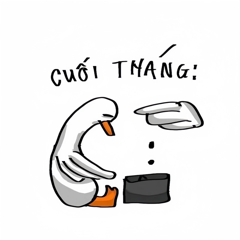 Ảnh meme nghèo nội dung vui nhộn về ví trống trơn