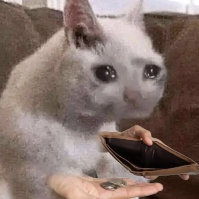 Ảnh meme nghèo tình huống hài về tiết kiệm thất bại
