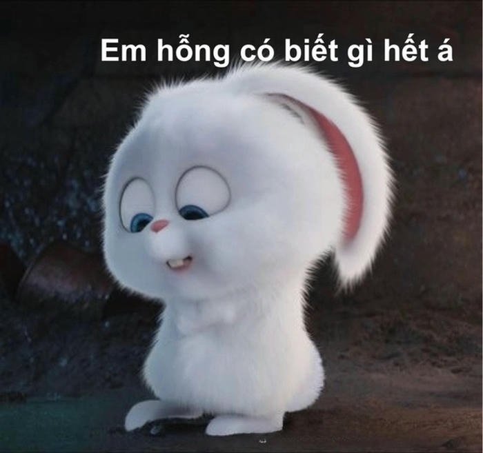 Hình ảnh meme ai biết gì đâu ánh nhìn bối rối
