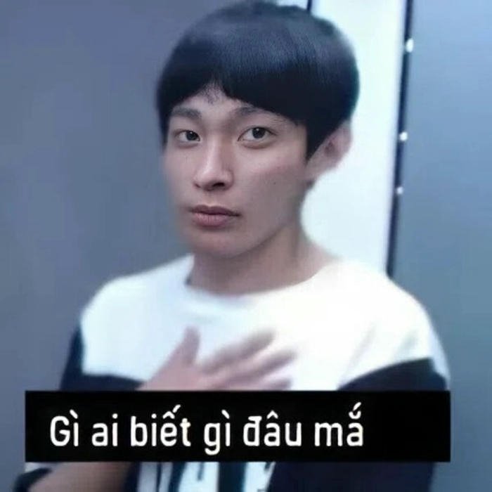 Hình ảnh meme ai biết gì đâu gương mặt đơ
