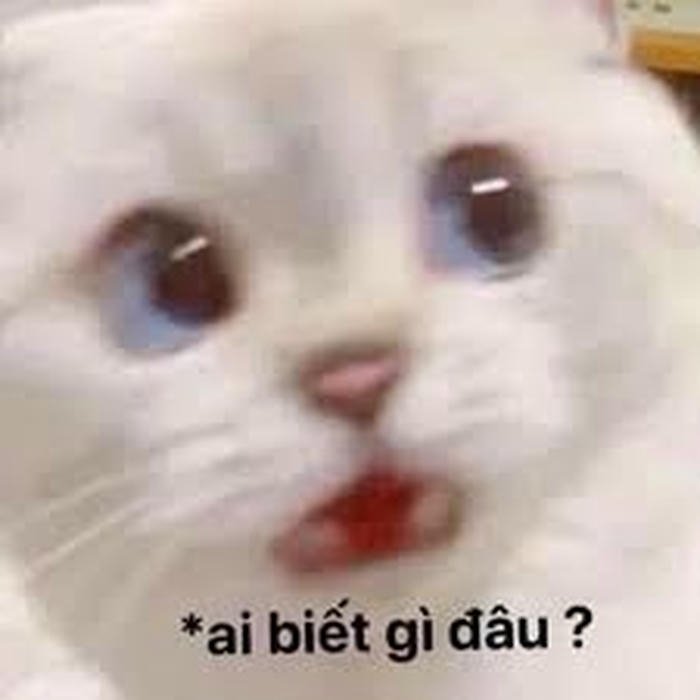 Hình ảnh meme ai biết gì đâu ngơ ngác
