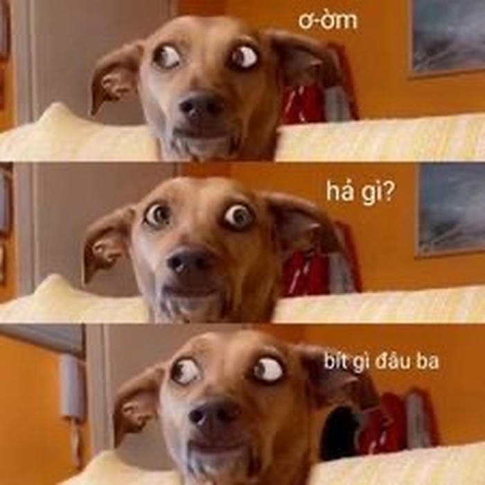 Meme ai biết gì đâu gương mặt đơ cứng
