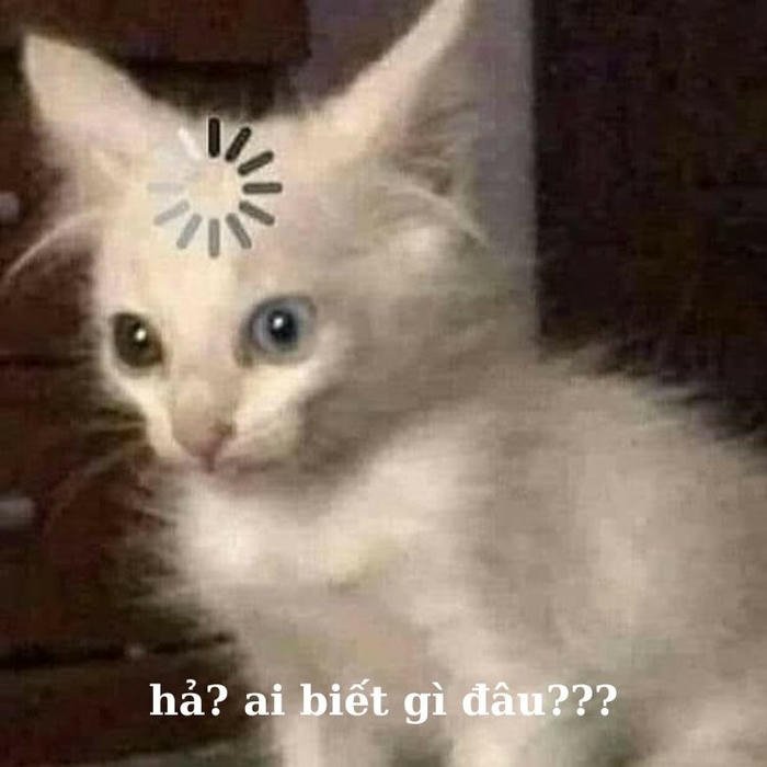 Meme ai biết gì đâu phản ứng chậm