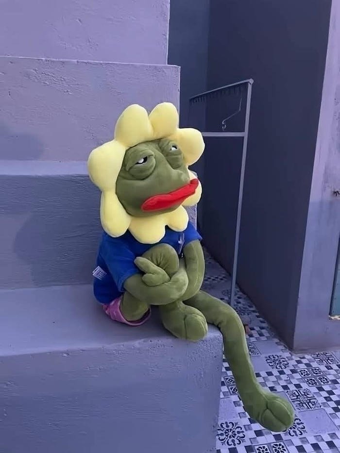 ảnh meme ếch xanh ngồi ôm chân bất cần