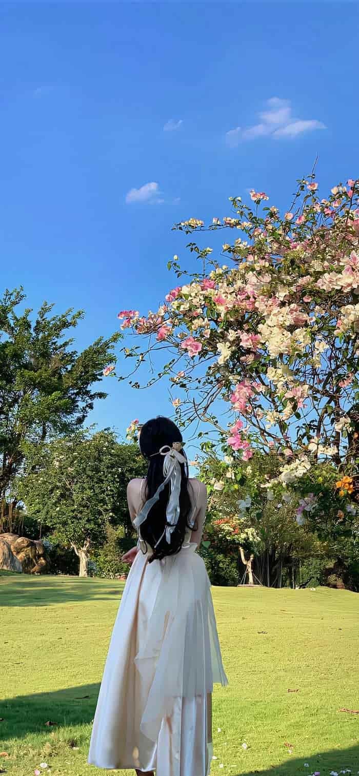 ảnh nền cô gái quay lưng ngoài phố