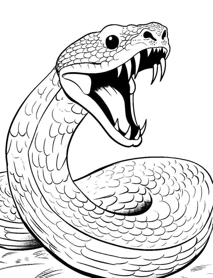 ảnh tranh tô màu con rắn há miệng