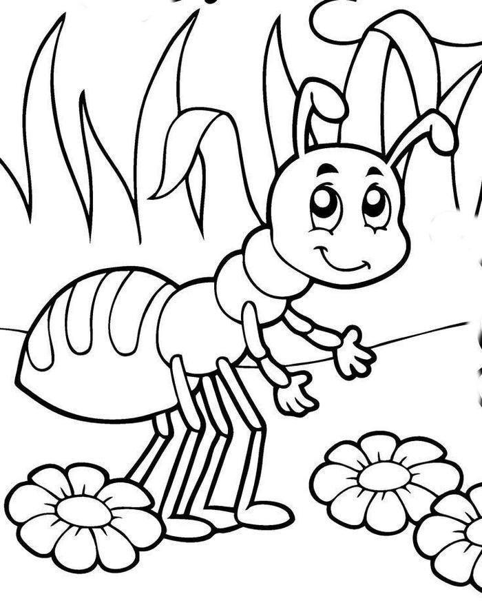 bức tranh tô màu con kiến mắt tròn xoe