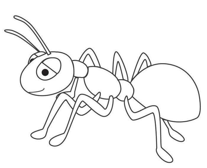 hình ảnh con kiến tranh tô màu sinh động