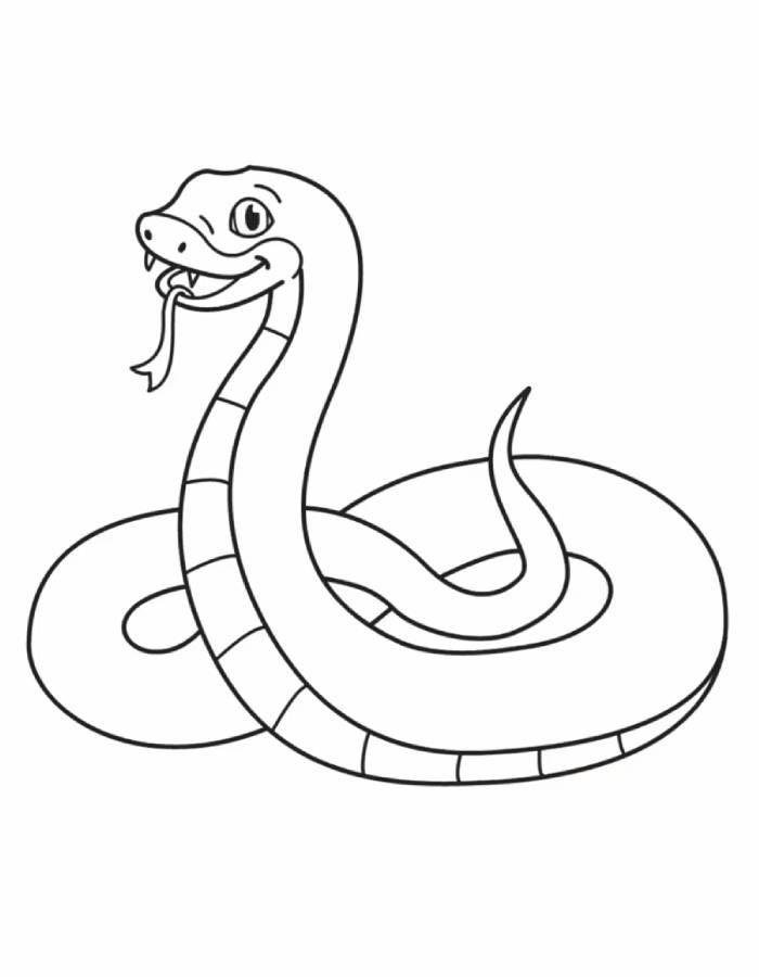 hình ảnh con rắn tranh tô màu dễ nhìn