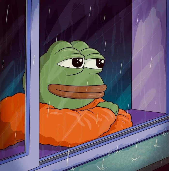 meme ếch xanh ngồi bên cửa sổ ngắm mưa